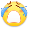 $[泡泡表情]::(泪)